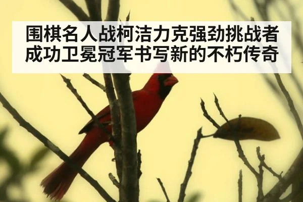 围棋名人战柯洁力克强劲挑战者成功卫冕冠军书写新的不朽传奇